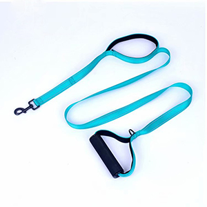 Best Fashion Pet Cat Dog Training Lead Supply