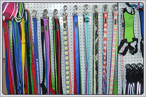 Manufacturer Best OEM Pet Dog Leash Lead Products