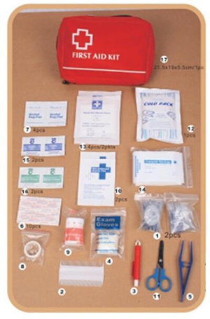 Promotional Gift Small Dog First Aid Kit Pet Medical Box