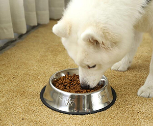 High Quality Various Sizes Stainless Steel Pet Dog Bowl