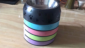 OEM Customized Stainless Steel Dog Food Bowl Supplier