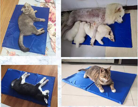 Wholesale Dog Cool Mat, Pet Ice Mat / Pet Cooling Pad For Gog and Cat Use
