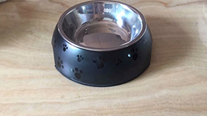 OEM Raised Stainless Steel Dog Cat Bowls