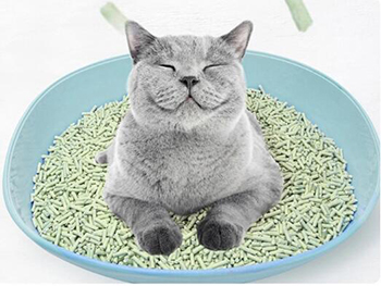 Professional Tofu Cat Litter Manufacturer