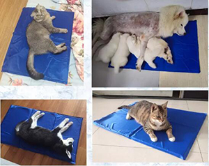 Summer Nylon Taffeta Cold Gel Pet Dog Cushion