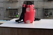 Outdoor Pet Travel Products Breathable Shoulder Handle Bags