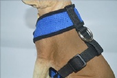 Pet Dog Soft Walk Collar Mesh Harness Chest Strap Vest Leash Products Supply
