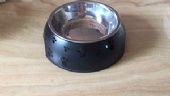 OEM Customized Stainless Steel Dog Food Bowl Supplier