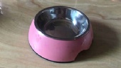 OEM Raised Stainless Steel Dog Cat Bowls